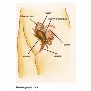 what causes bleeding between periods